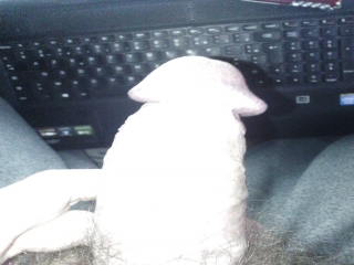 Homme 35 ans recherche plan Q
