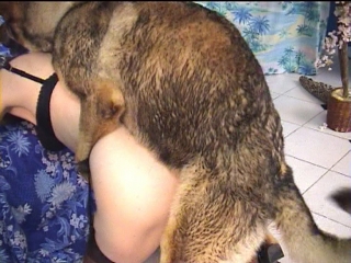 PUTACHIENS - photo 3